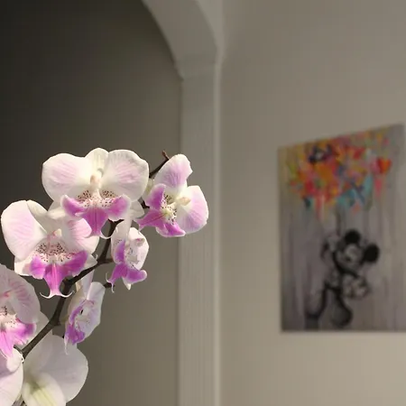 Bed and Breakfast Casa Elvira 3*